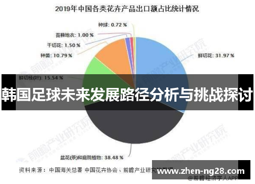 韩国足球未来发展路径分析与挑战探讨