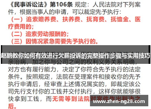 赵鹏教你如何有效进行欠薪投诉的完整操作步骤与实用技巧