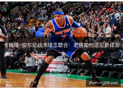 卡梅隆·安东尼战术理念磨合:老将如何适应新体系 卡梅隆·安东尼战术理念磨合:老将如何适应新体系